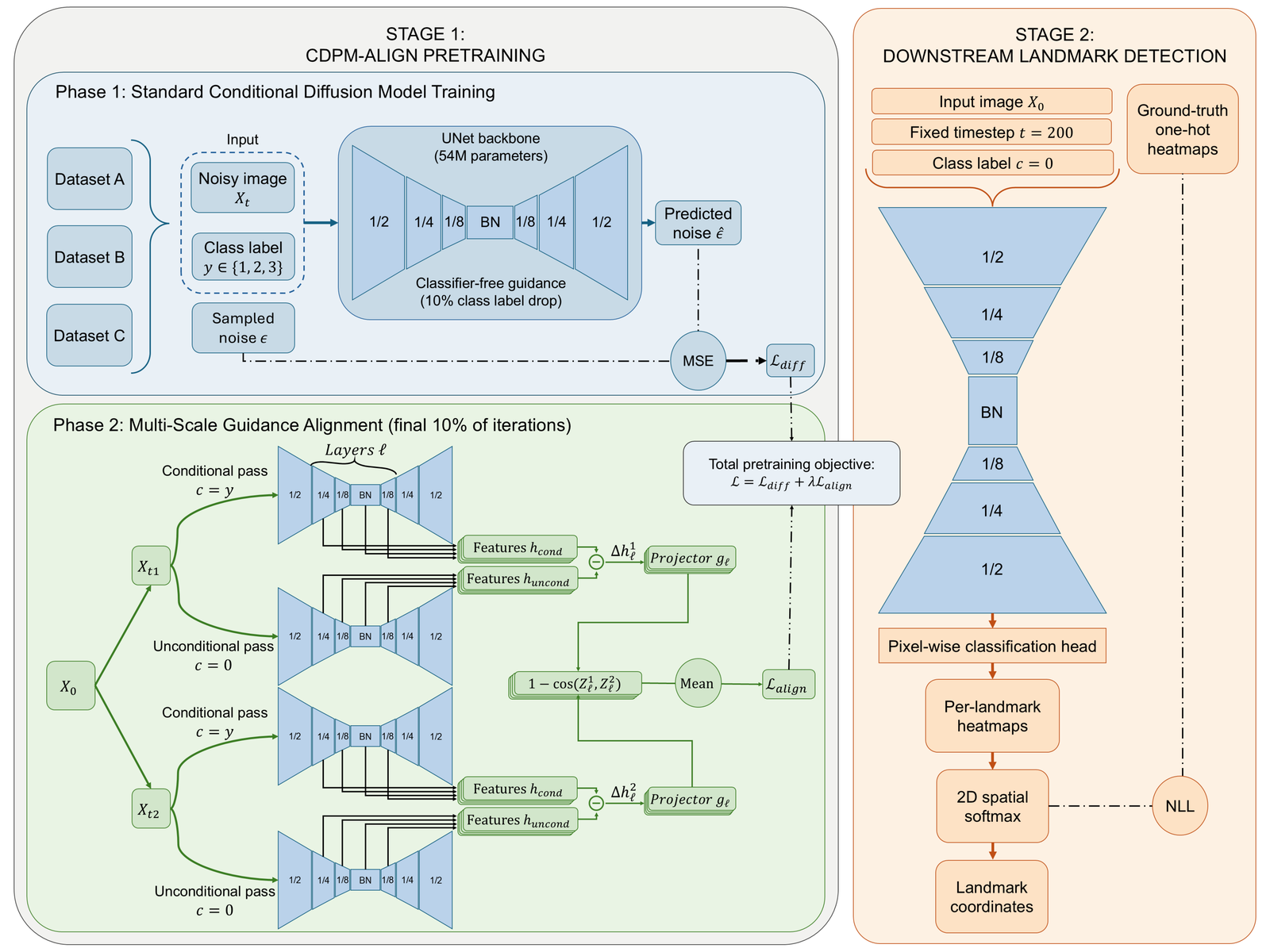 CDPM-Align pipeline: phase 1 conditional diffusion training on three X-ray datasets, phase 2 multi-scale guidance alignment, then end-to-end few-shot landmark detection with a pixel-wise classification head
