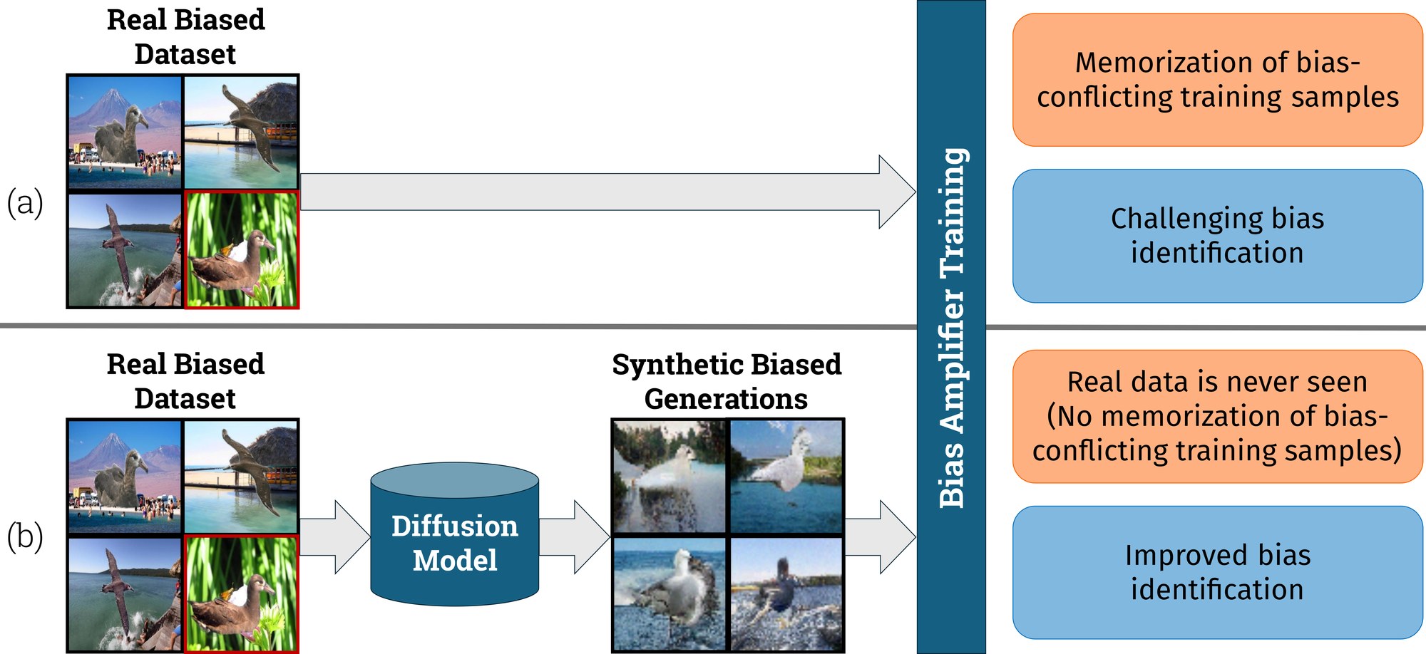 Diffusing DeBias overview: (a) a bias amplifier trained on a real biased dataset memorizes bias-conflicting samples; (b) a diffusion model generates synthetic bias-aligned images so the bias amplifier never sees real data